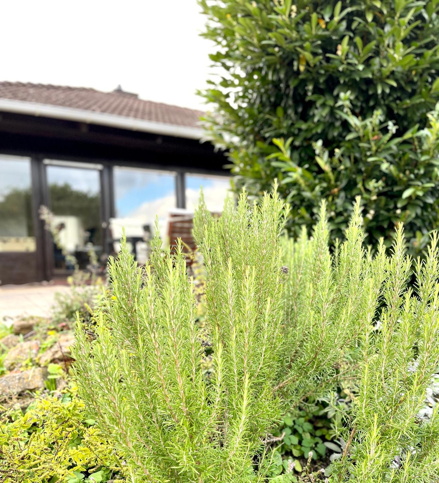 Ferienhaus Weinbergblick - Nahe Wuerzburg - 2 Schlafzimmer - Familienfreundlich - Terrasse Unterleinach Eksteriør bilde
