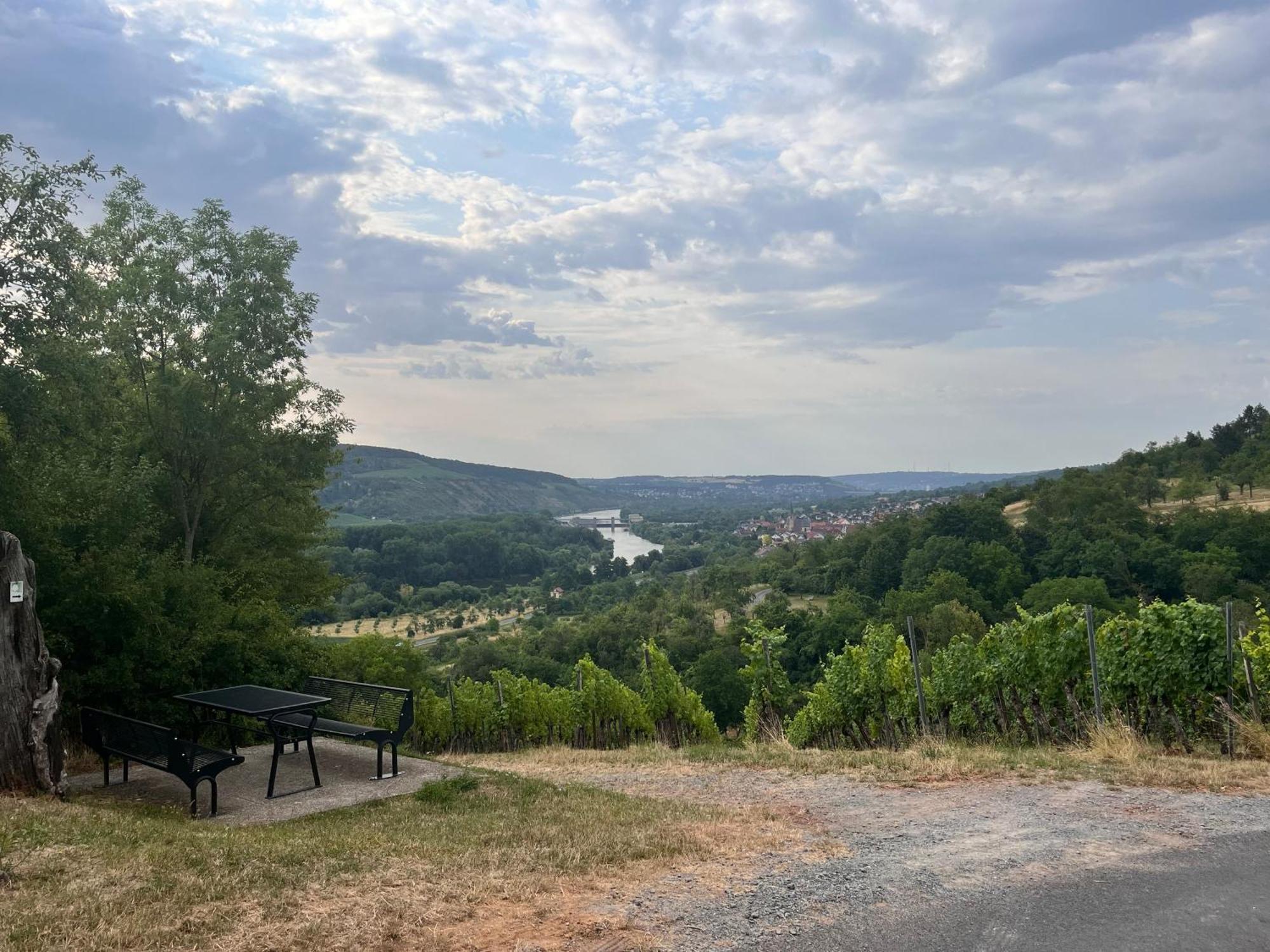 Ferienhaus Weinbergblick - Nahe Wuerzburg - 2 Schlafzimmer - Familienfreundlich - Terrasse Unterleinach Eksteriør bilde