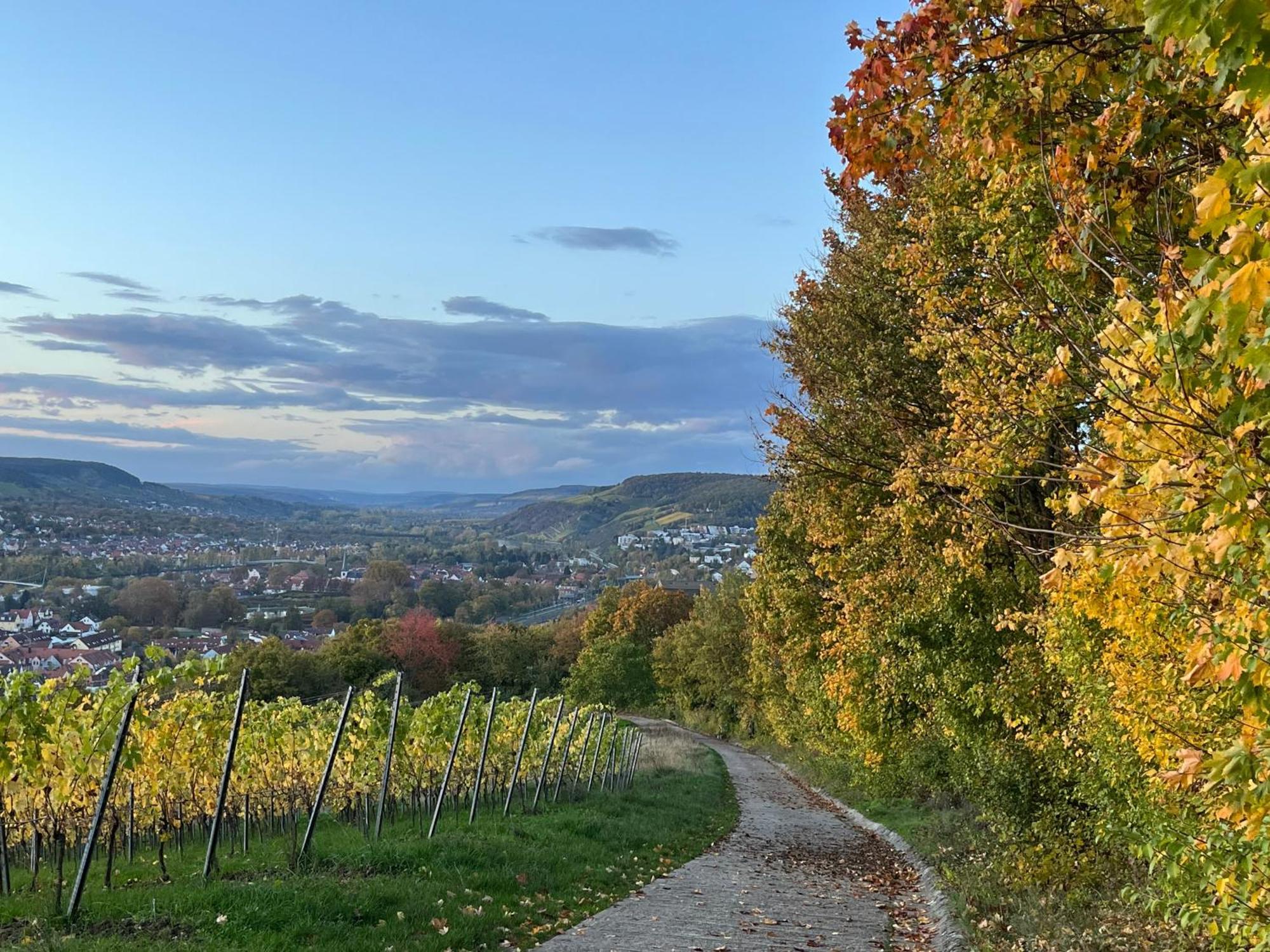 Ferienhaus Weinbergblick - Nahe Wuerzburg - 2 Schlafzimmer - Familienfreundlich - Terrasse Unterleinach Eksteriør bilde